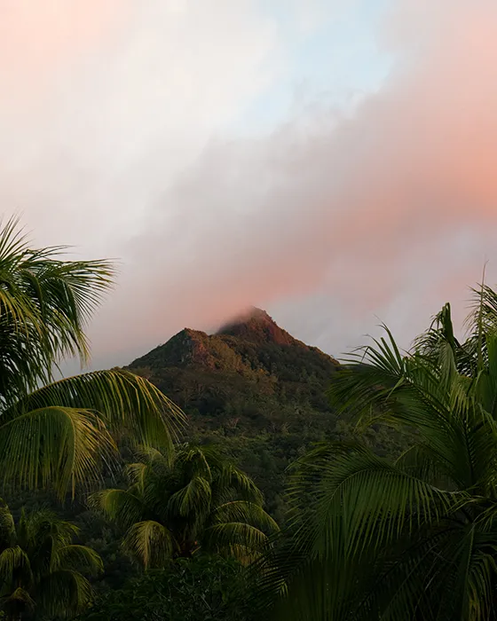 ein Berg in den Seychellen gerahmt von Palmen im Licht des Sonnenuntergangs