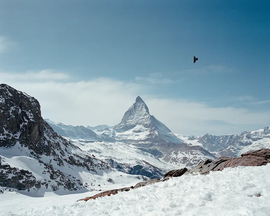 verschneite Berglandschaft mit Blick auf das Matterhorn und einem Vogel der durch das Bild fliegt